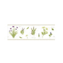 Frise Herbier blanc - BON APPETIT - Caselio - BAP68435004