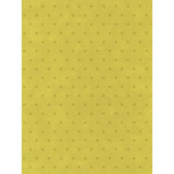 Papier peint Pois vert - BON APPETIT - Caselio - BAP68387002