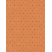 Papier peint Pois orange - BON APPETIT - Caselio - BAP68383036