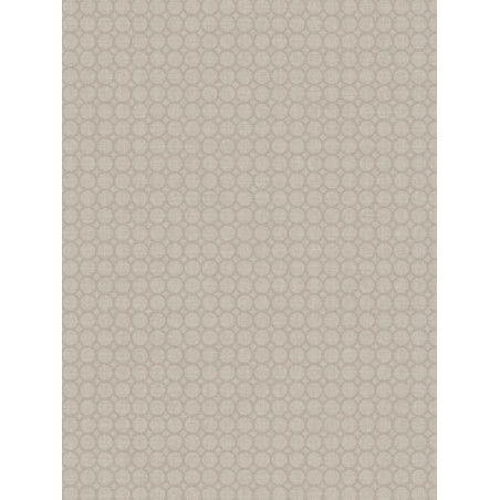 Papier peint Semi All Over taupe - SWING - Caselio - SNG68879044