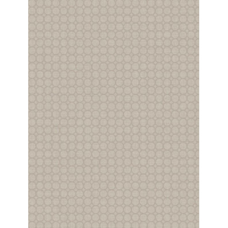 Papier peint gris Semi Allower- SWING - Caselio 