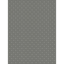 Papier peint Carré gris anthracite - TONIC - Caselio - TONI69459707
