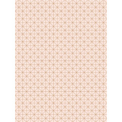 Papier peint Carré rose cuivre - TONIC - Caselio - TONI69454916