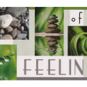 Frise adhésive Nature Feelings - vert - Lutèce