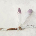 Papier peint Biche violet - PRETTY LILI - Caselio - PRLI69225005