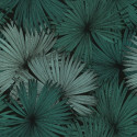 Papier peint Coconut Motifs feuilles de cocotier nuances de vert sur fond noir – JUNGLE - Caselio