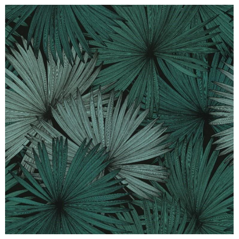 Papier peint Coconut Motifs feuilles de cocotier nuances de vert sur fond noir – JUNGLE - Caselio