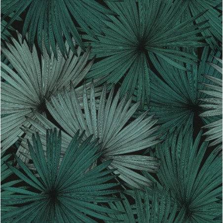 Papier peint Coconut Motifs feuilles de cocotier nuances de vert sur fond noir – JUNGLE - Caselio