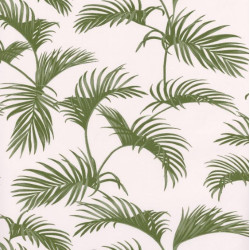 Papier peint Palmes vert - JUNGLE - Caselio - JUN100037011