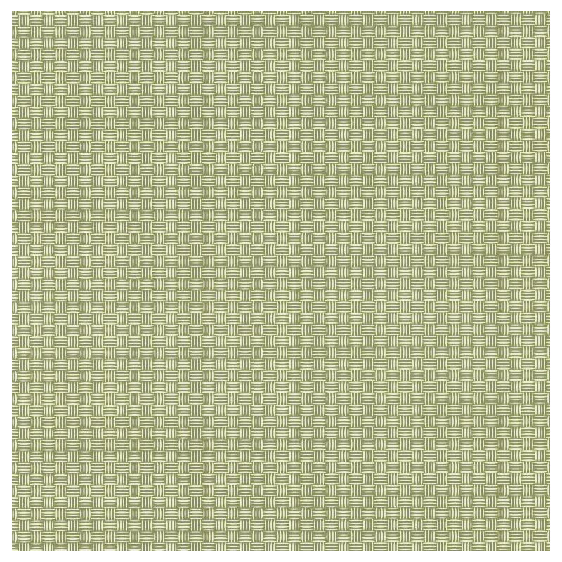 Papier peint Natte Tressage vert – JUNGLE - Caselio