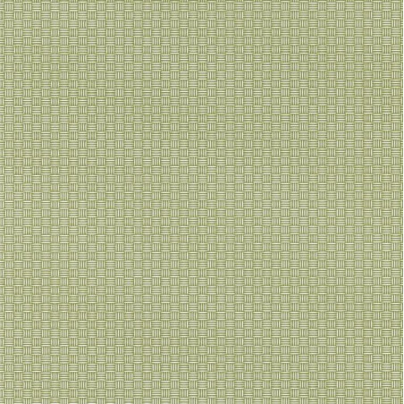 Papier peint Natte vert - JUNGLE - Caselio - JUN100007303