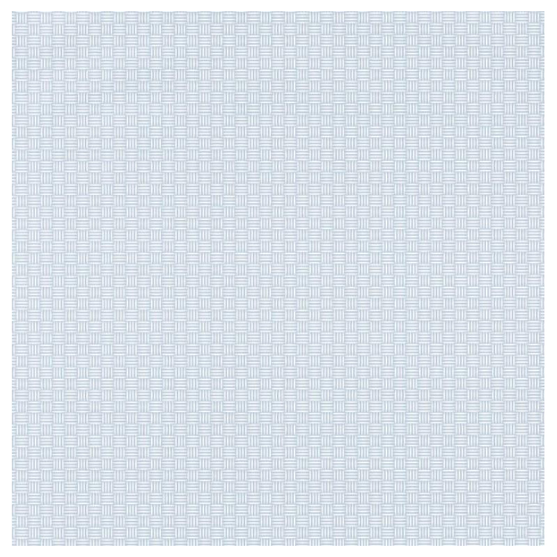 Papier peint Natte Tressage bleu – JUNGLE - Caselio