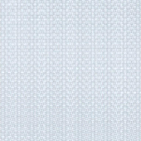 Papier peint Natte gris bleu - JUNGLE - Caselio - JUN100009200