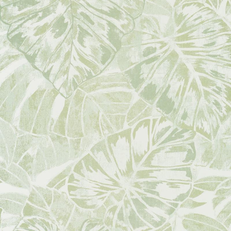 Papier peint Feuilles vert amande et blanc - PANAMA - Casadeco  PANA81077224