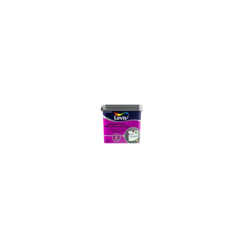 Peinture grise magnétique LEVIS - direct sans sous-couche - 0,5L