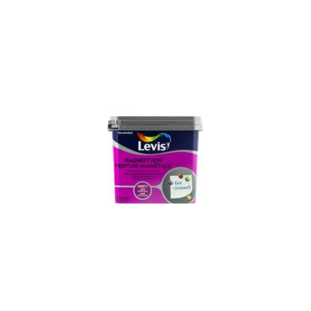Peinture grise magnétique LEVIS - direct sans sous-couche - 0,5L