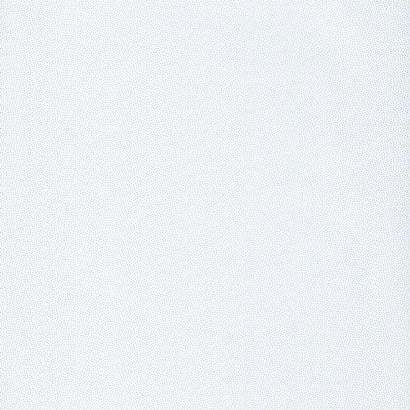 Papier peint Goma blanc et argent - HYGGE - Caselio - HYG100400101