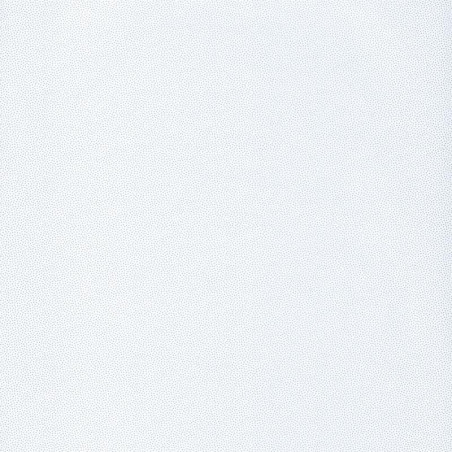 Papier peint Goma blanc et argent - HYGGE - Caselio - HYG100400101