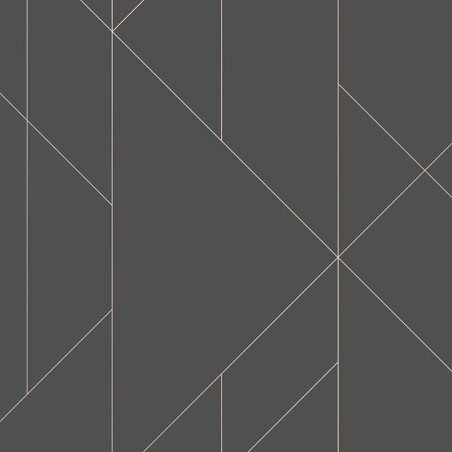 Papier peint Torpa noir et rose gold - TERENCE CONRAN - Lutèce - TC25204