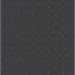 Papier peint Disques noir - VISION - Casadeco - VISI83689505