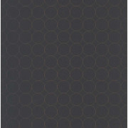 Papier peint Disques noir - VISION - Casadeco - VISI83689505