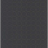 Papier peint intissé DISQUES noir Collection VISION - Casadeco