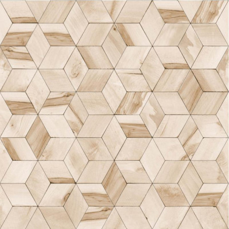 Papier peint Géométrique Bois beige - HEXAGONE - Ugepa - L59207
