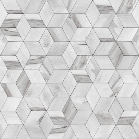 Papier peint Géométrique Bois gris - HEXAGONE - Ugepa - L59209