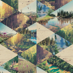 Papier peint Forêt multicolore - FAUX SEMBLANT - Ugepa - L135-04