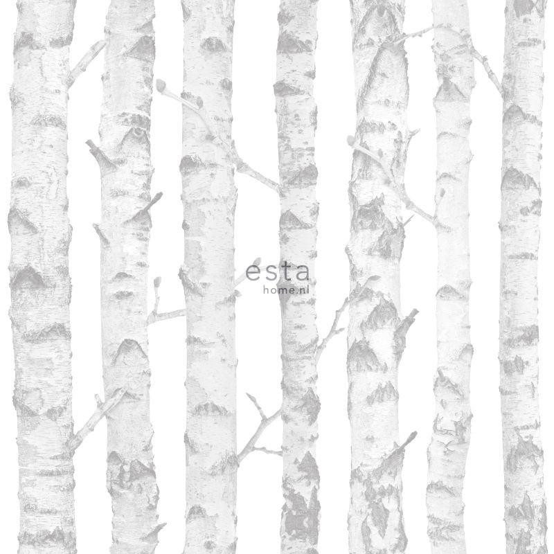 Papier peint Troncs de bouleau blanc et argent - LITTLE BANDITS - Esta Home - 138944