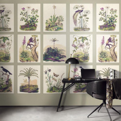 Panoramique Herbarium - ENCYCLOPEDIA - Casadeco - ENCY83341466