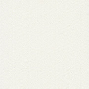 Papier peint Goma blanc et Gold - HANAMI - Caselio - HAN100400011