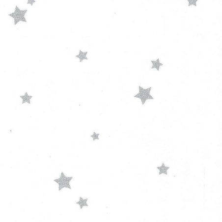 Papier peint intissé  you're my star argent - Collection GIRL POWER - CASELIO