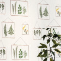 Papier peint Millefeuille vert à motif petits cadres feuillage nature - Au bistrot d'Alice - Caselio
