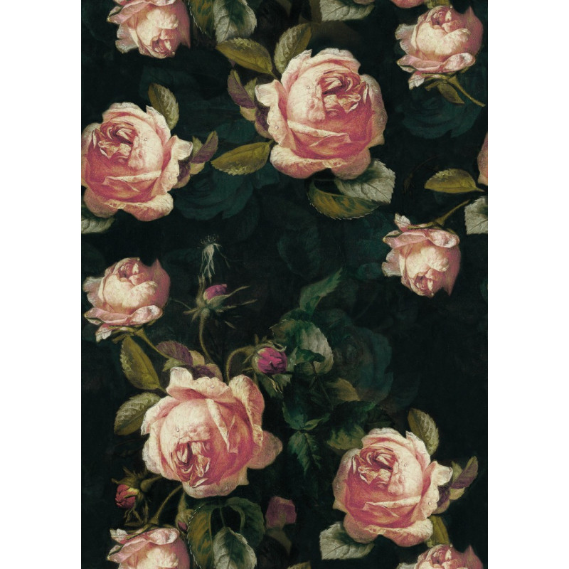 Panoramique ENGLISH ROSES noir et rose - Beauty Full Image par Casadeco