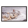 Paillasson / Tapis de propreté - IMAGE - Teddybear - Hamat