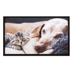 Paillasson / Tapis de propreté - IMAGE - Kitten - Hamat