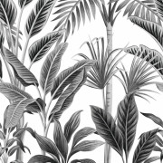 Panoramique jungle Tropical Forest noir et blanc - Collector - GRANDECO