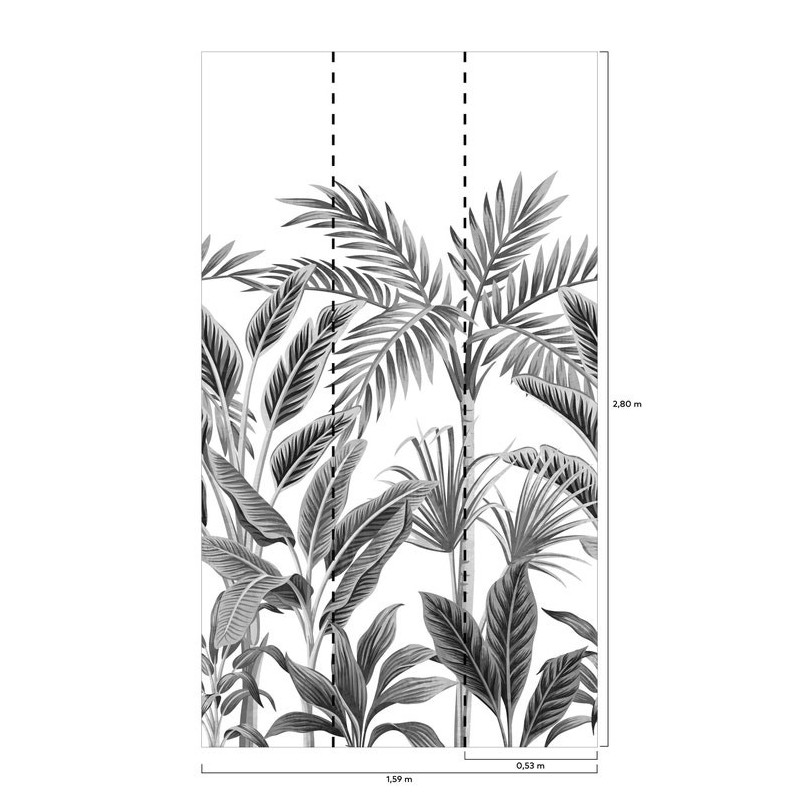 Panoramique jungle Tropical Forest noir et blanc - Collector - GRANDECO