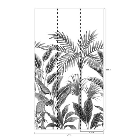 Panoramique jungle Tropical Forest noir et blanc - Collector - GRANDECO