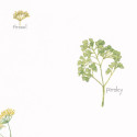 Papier peint bouquet garni vert - Au bistrot d'Alice - Caselio