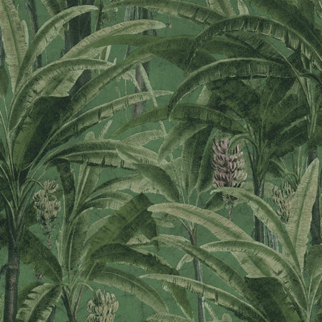 Papier peint Jungle forest bleu vert 364801 - Greenery - AS CREATION