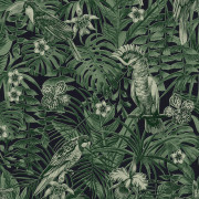 Papier peint Jungle perroquets noir vert 372101 - Greenery - AS CREATION