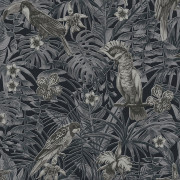 Papier peint Jungle perroquets crème, gris, noir 372104 - Greenery - AS CREATION