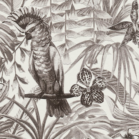 Papier peint Jungle perroquets blanc, gris, noir  372105 - Greenery - AS CREATION