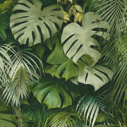 Papier peint Jungle amazonia vert 372802 - Greenery - AS CREATION