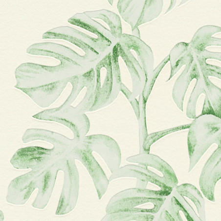 Papier peint Jungle feuille de bananier vert blanc 372813 - Greenery - AS CREATION