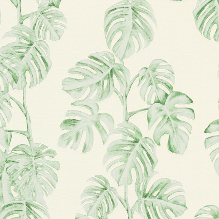 Papier peint Jungle feuille de bananier vert blanc 372813 - Greenery - AS CREATION