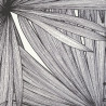 Papier peint Coconut Noir blanc -MOONLIGHT- Caselio MLG101249000