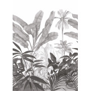Panoramique Hathi Noir Et Blanc -MOONLIGHT- Caselio MLG101289008